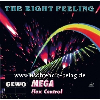 GEWO Mega Flex Control